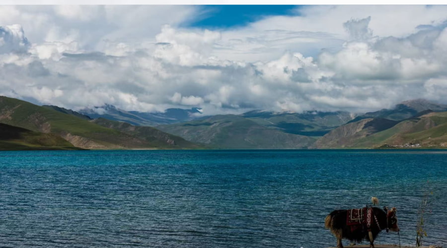 Kailash Mansarovar Yatra Difficulty and Fitness Guide