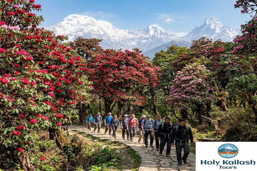 Trekking-in-Nepal-best-trails-tips-and-season