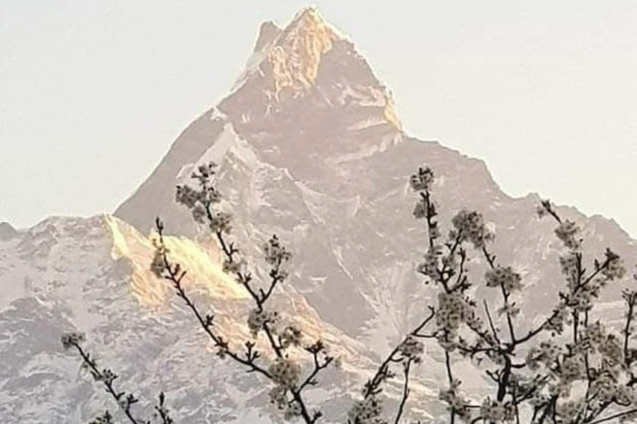 clear-blue-sky-over-machapuchare-peak-november