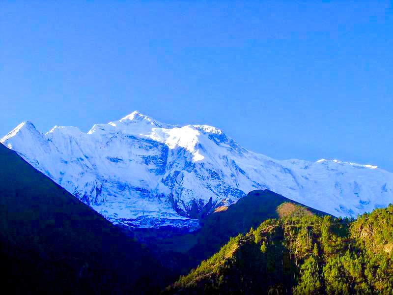 Annapurna-Region-Flora-Fauna-and-Landscapes
