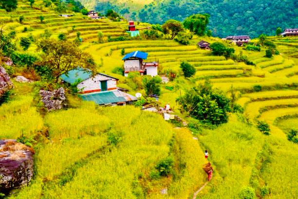 Annapurna-circuit-trek