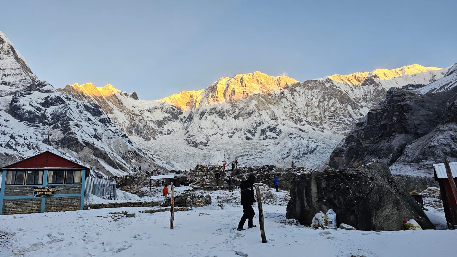Flora-and-fauna-on-Annapurna-base-camp-trek