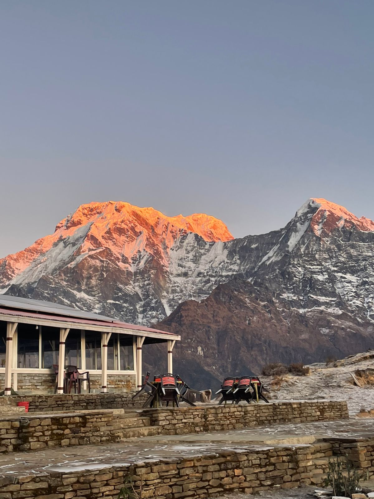 Flora-and-Fauna-on-Annapurna-Base-Camp-Trek