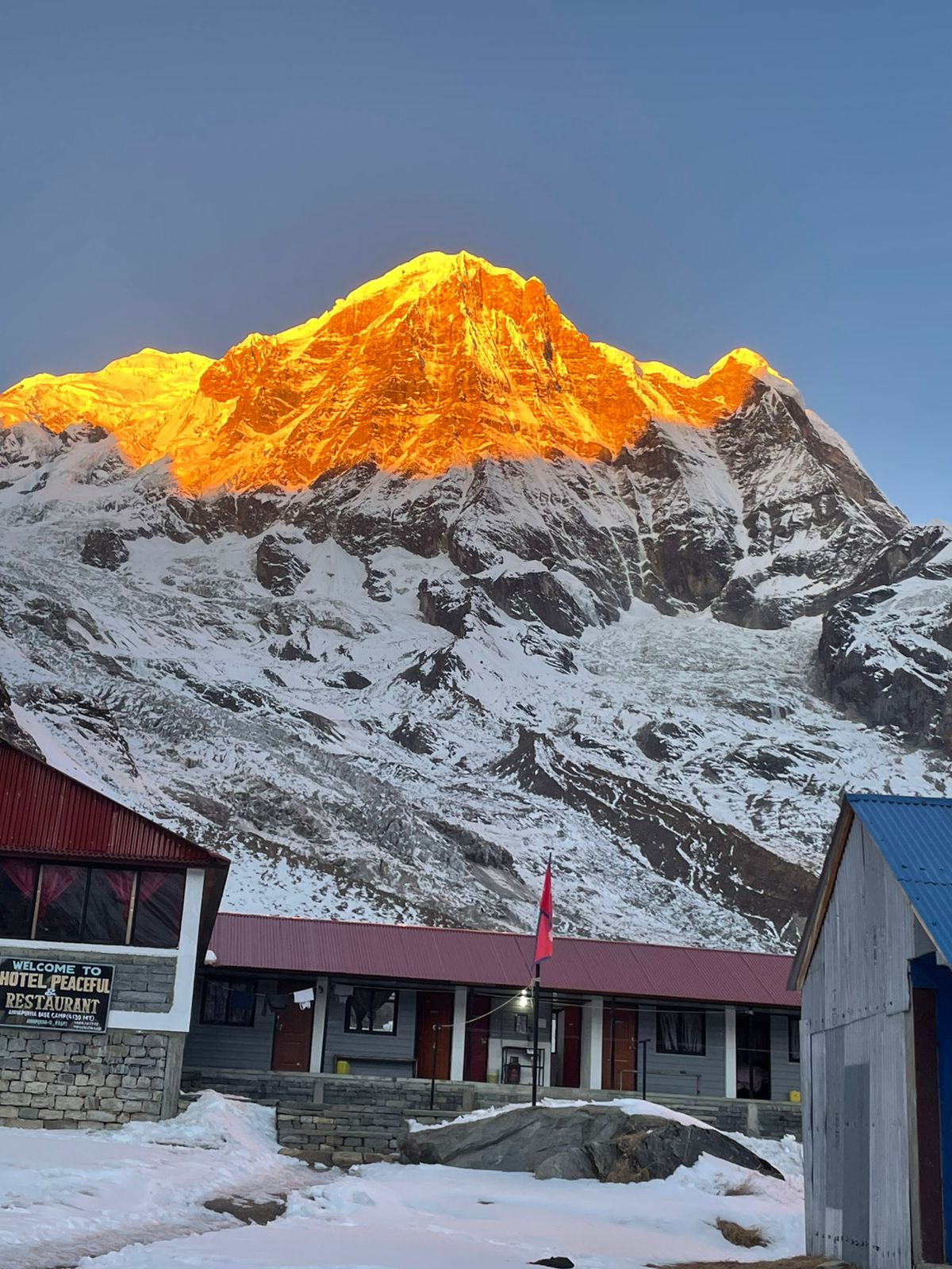 Flora-and-Fauna-on-Annapurna-Base-Camp-Trek