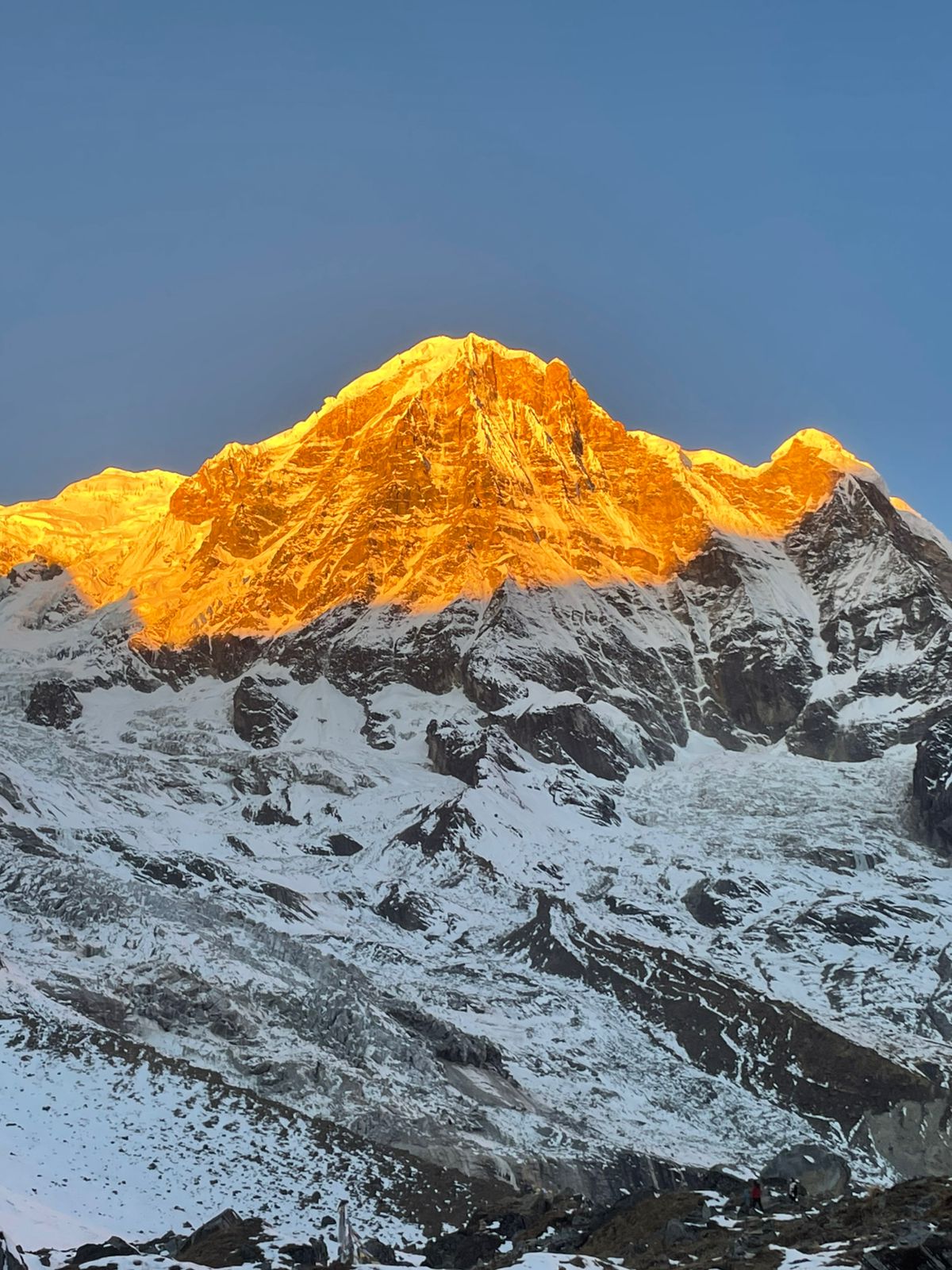 Conservation Efforts in Annapurna Conservation Area