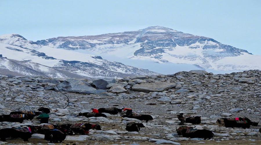 Everest Base Camp Trek Difficulty