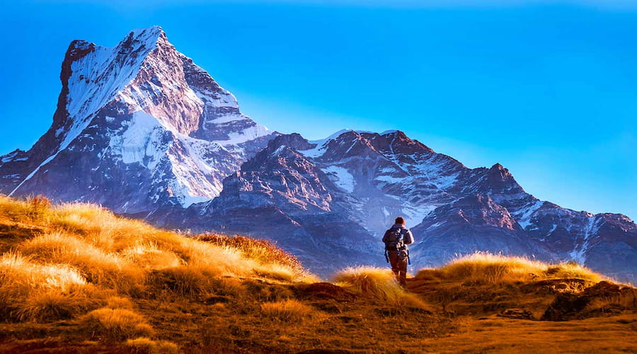 Mardi Himal Trek 8 Days