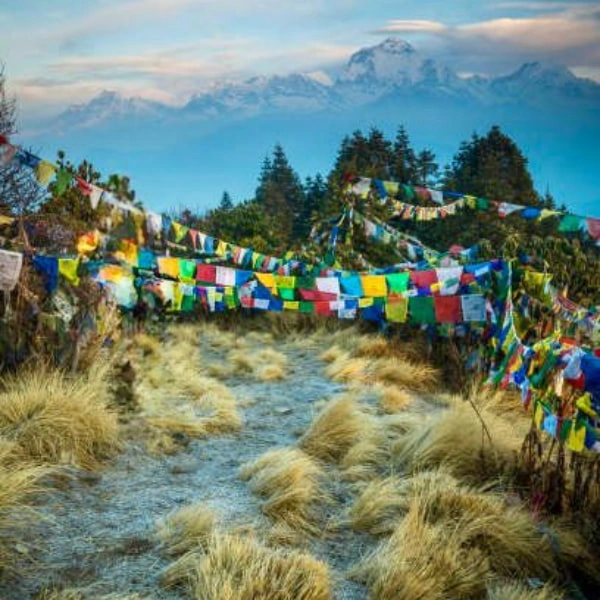 Ghorepani Poon Hill Trek